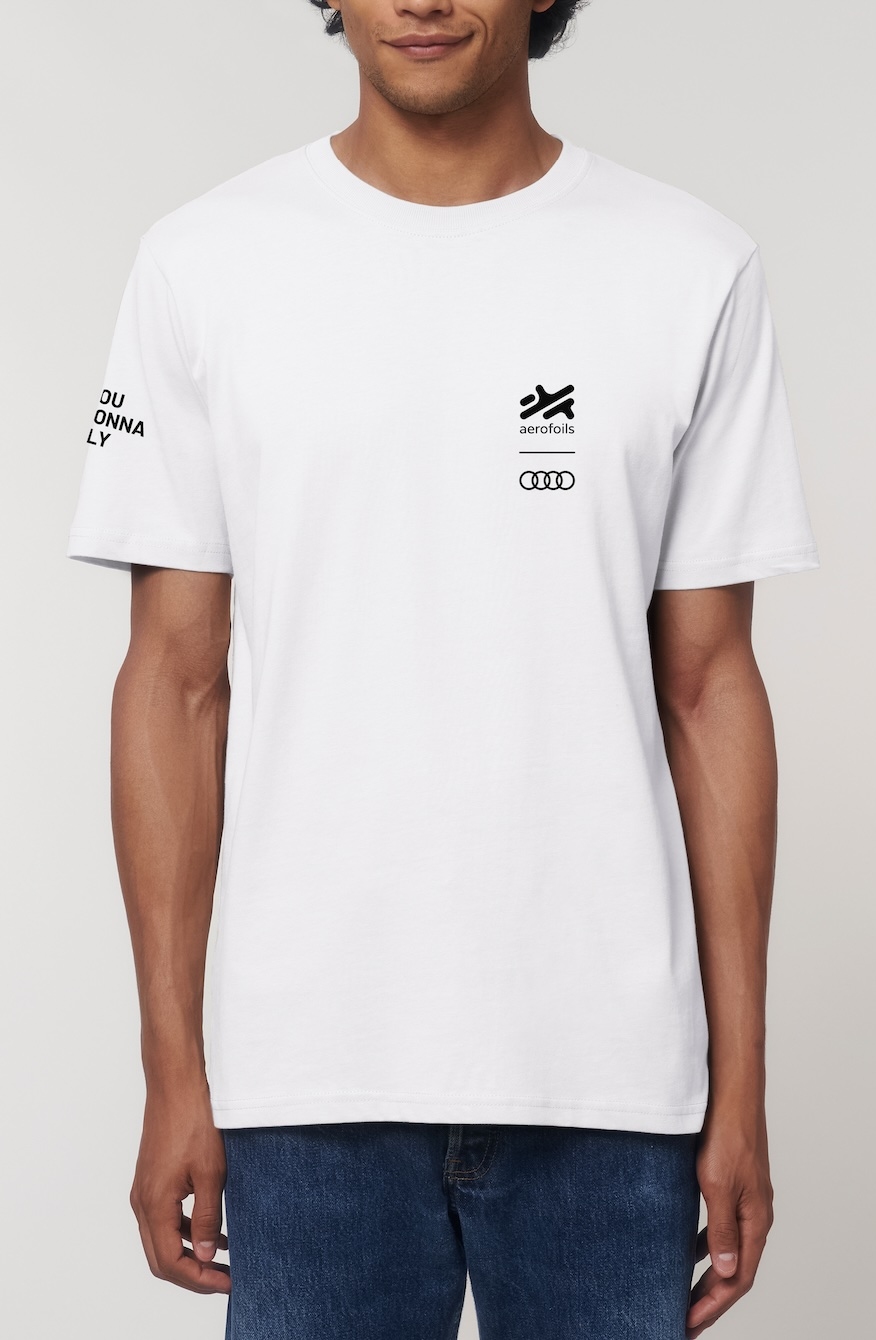 Aerofoils - Aerofoils Audi etron eFoil L 810.---.001.100_Aerofoils Audi etron eFo