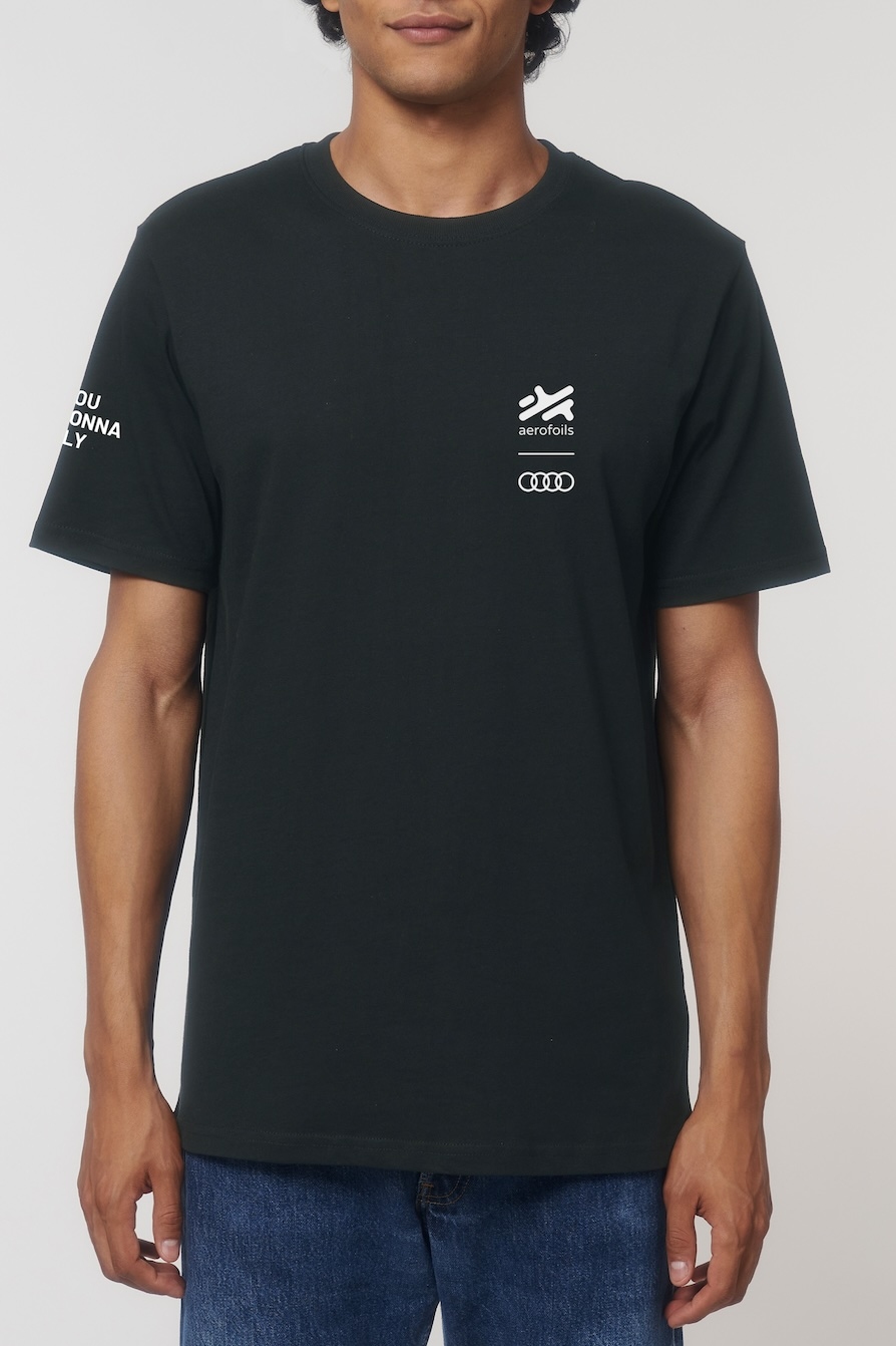 Aerofoils - Aerofoils Audi etron eFoil L 810.---.001.001_Aerofoils Audi etron eFo